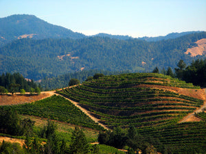 Pax - Alder Springs Vineyard Grenache - 2021