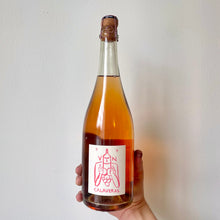 Load image into Gallery viewer, Forlorn Hope - Sparkling Rosé of Mondeuse - 2018
