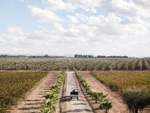 Load image into Gallery viewer, La Ferme Rouge - Les Gris - 2021
