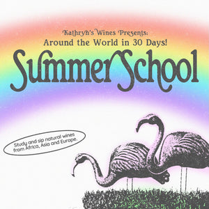 Summer School